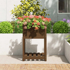 vidaXL Planter with Shelf Honey Brown 54x54x81 cm Solid Wood Pine 3