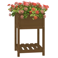 vidaXL Planter with Shelf Honey Brown 54x54x81 cm Solid Wood Pine 4