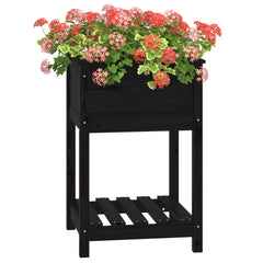 vidaXL Planter with Shelf Black 54x54x81 cm Solid Wood Pine 4