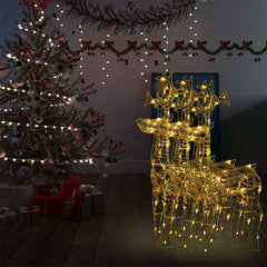 Reindeer Christmas Decorations 60x16x100 cm Acrylic 3 pcs Warm white
