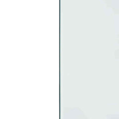 vidaXL Fireplace Glass Plate Transparent 100 x 60 cm Glass 6