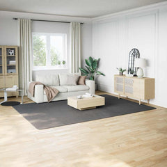 Shaggy Rug Polyester Width 240 cm Anthracite 340 cm