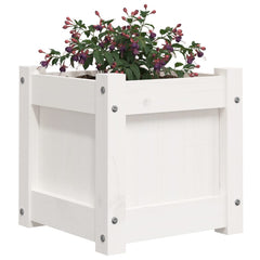 vidaXL Garden Planters 2 pcs White Solid Wood Pine 4