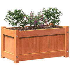 vidaXL Garden Planter Wax Brown 60x31x31 cm Solid Wood Pine 4