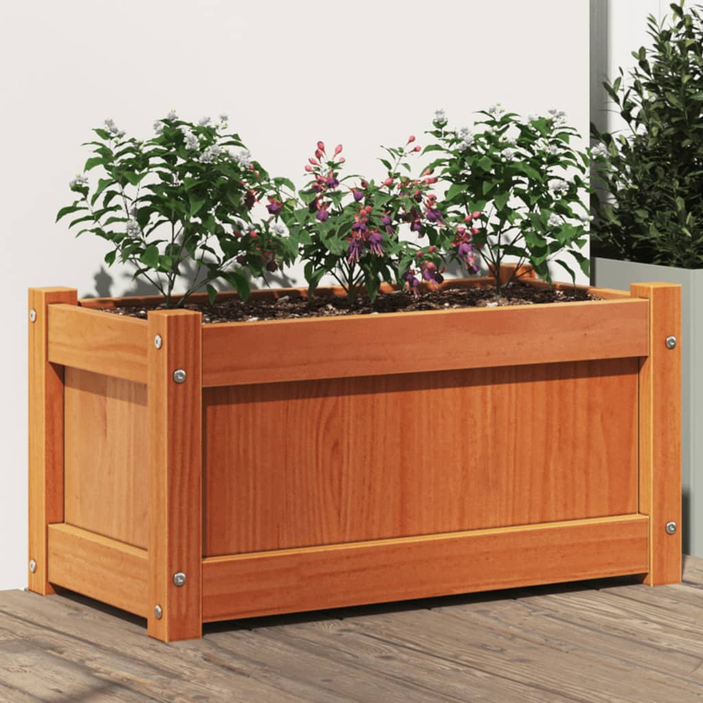 vidaXL Garden Planter Wax Brown 60x31x31 cm Solid Wood Pine 1