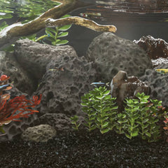 vidaXL Volcanic Rocks 10 kg 5-8