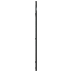 vidaXL Wall Mirror Black 50x100 cm Arch Iron 4