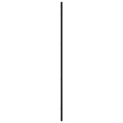 vidaXL Wall Mirror Black 50x100 cm Rectangle Iron 4
