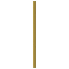 vidaXL Cabinet Handles 10 pcs Gold 320 mm Stainless Steel 5