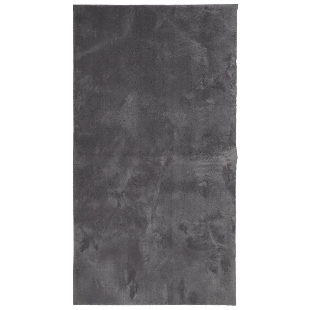 vidaXL Rug HUARTE Short Pile Soft and Washable Anthracite 80x150 cm 2