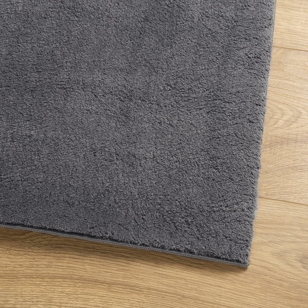 vidaXL Rug HUARTE Short Pile Soft and Washable Anthracite 80x250 cm 4