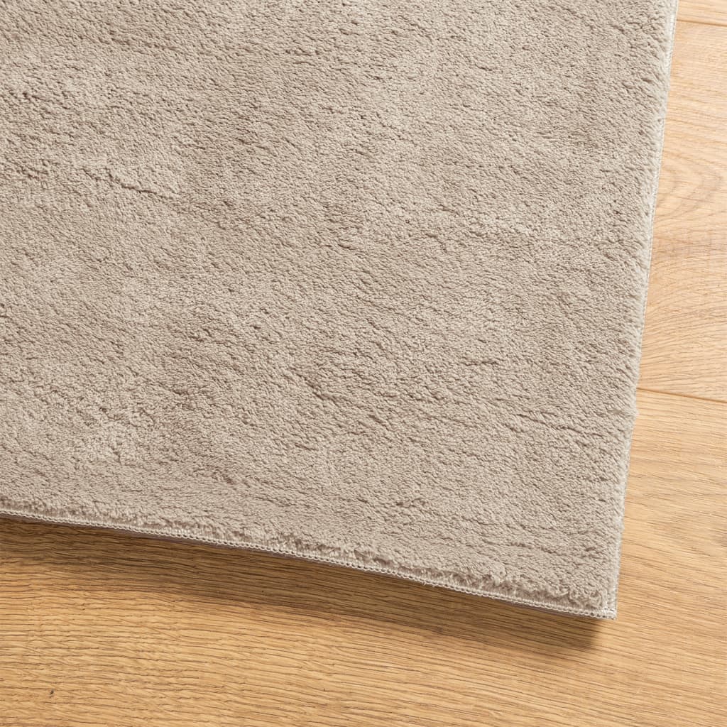 vidaXL Rug HUARTE Short Pile Soft and Washable Sand 80x150 cm 4