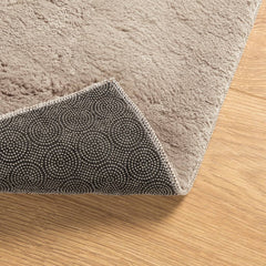 vidaXL Rug HUARTE Short Pile Soft and Washable Sand 80x150 cm 5