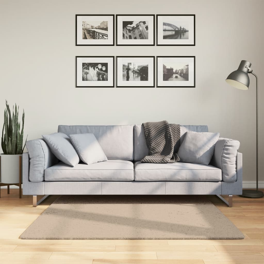 vidaXL Rug HUARTE Short Pile Soft and Washable Sand 120x120 cm 1