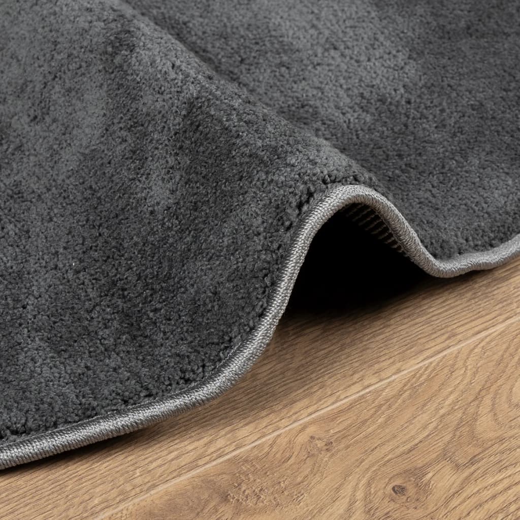 vidaXL Rug OVIEDO Short Pile Anthracite Ø 120 cm 6