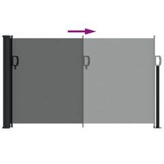 vidaXL Retractable Side Awning Anthracite 117x300 cm 6