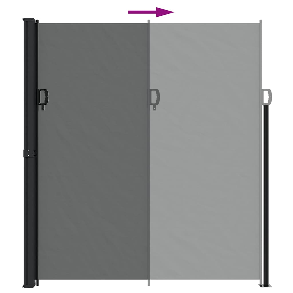 vidaXL Retractable Side Awning Anthracite 220x300 cm 6