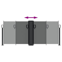 vidaXL Retractable Side Awning Anthracite 100x600 cm 5