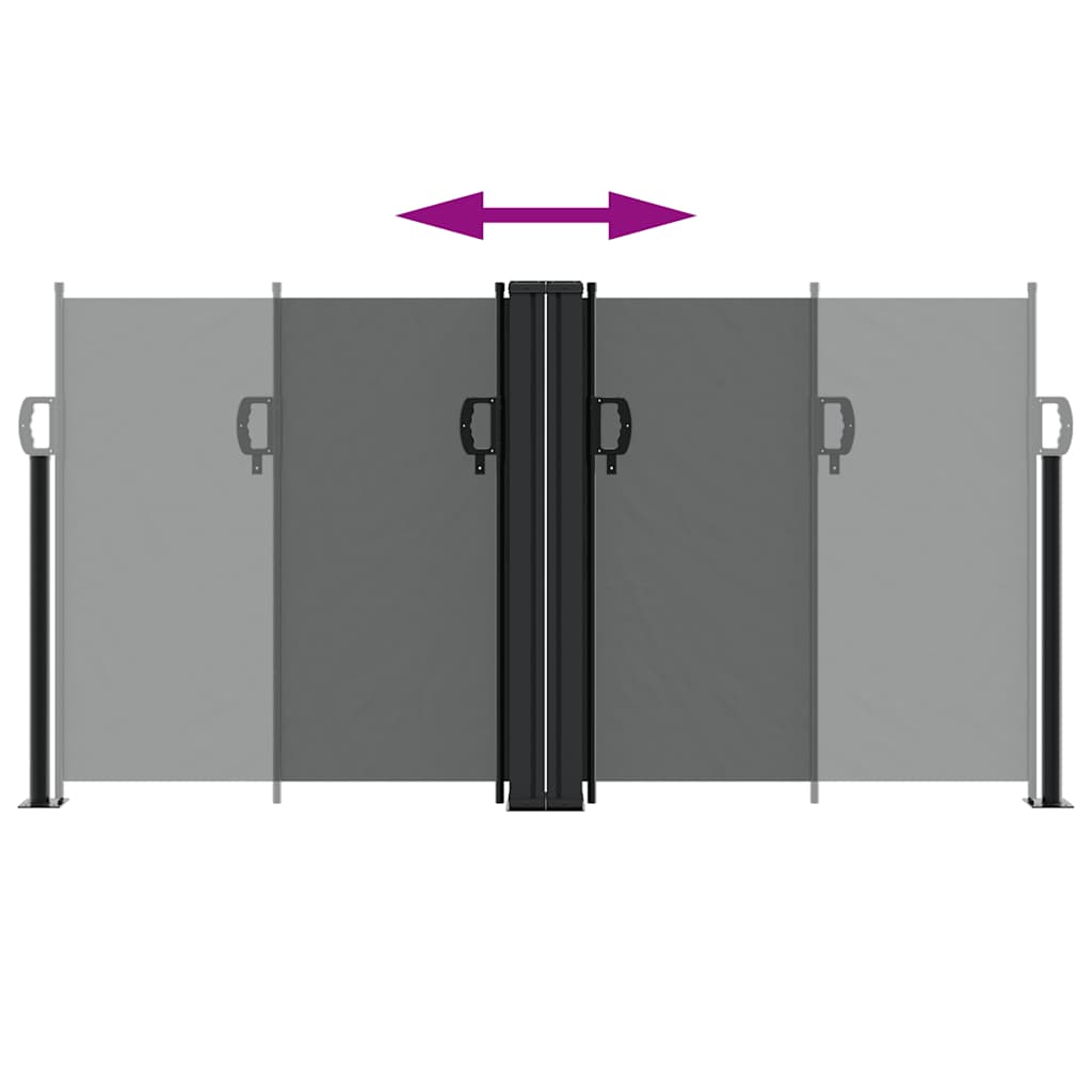 vidaXL Retractable Side Awning Anthracite 120x1000 cm 5