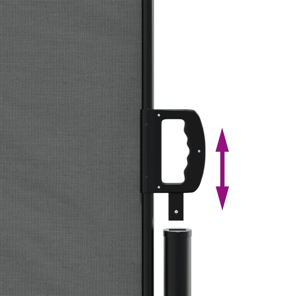 vidaXL Retractable Side Awning Anthracite 180x1000 cm 6