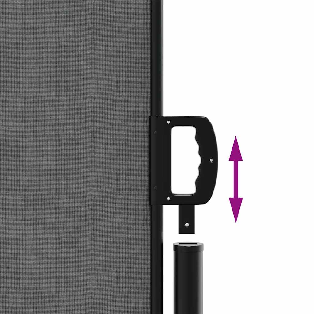 vidaXL Retractable Side Awning Anthracite 200x1000 cm 6