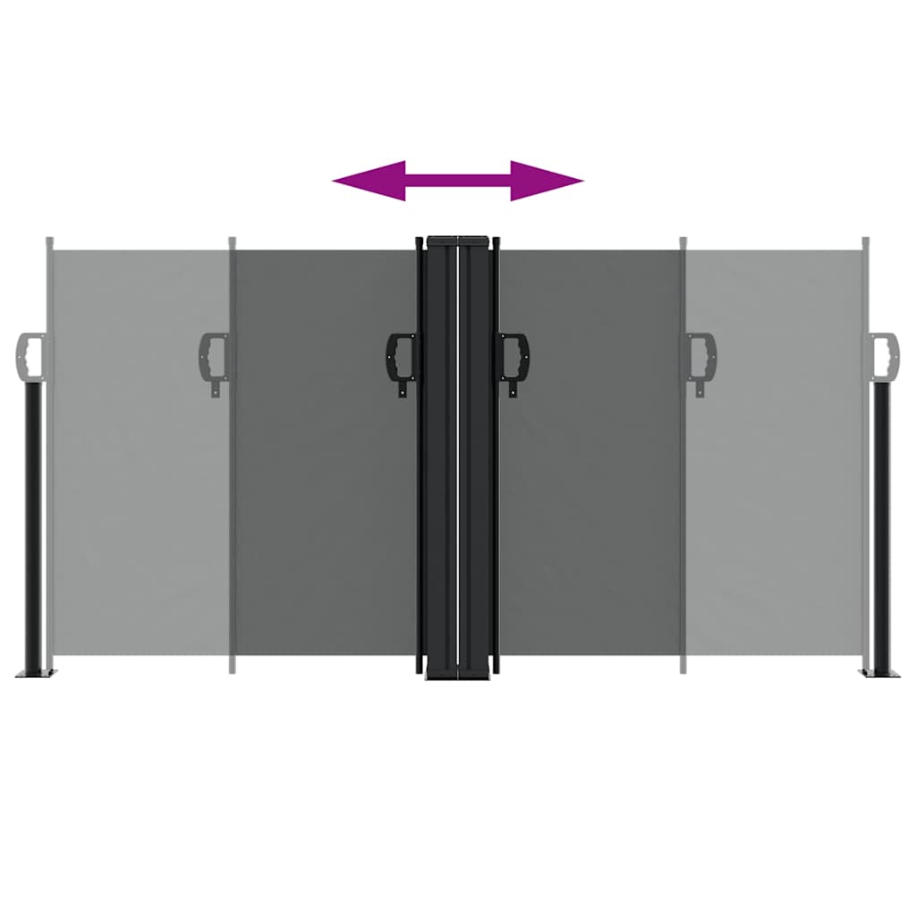 vidaXL Retractable Side Awning Anthracite 120x1200 cm 5