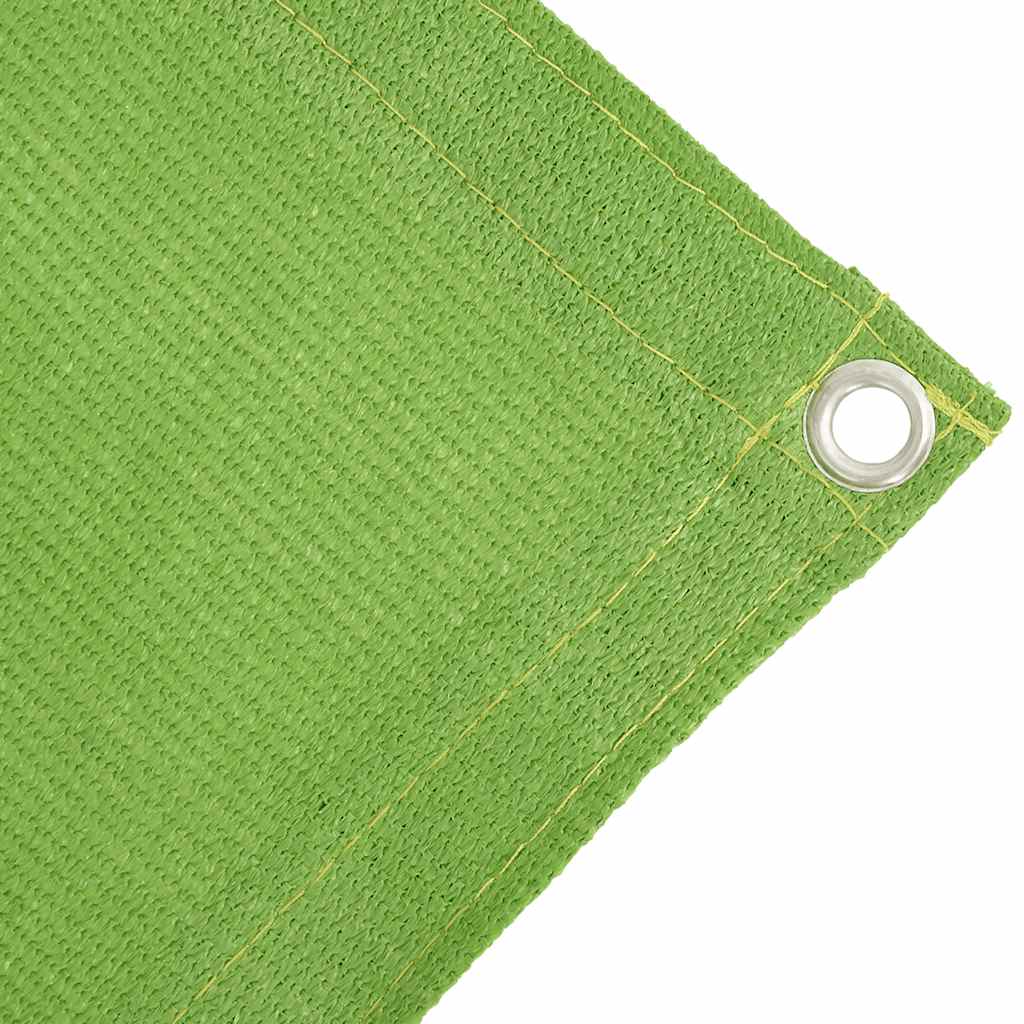 vidaXL Tent Carpet Light Green 250x500 cm HDPE 4