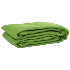 vidaXL Tent Carpet Light Green 300x500 cm HDPE 2