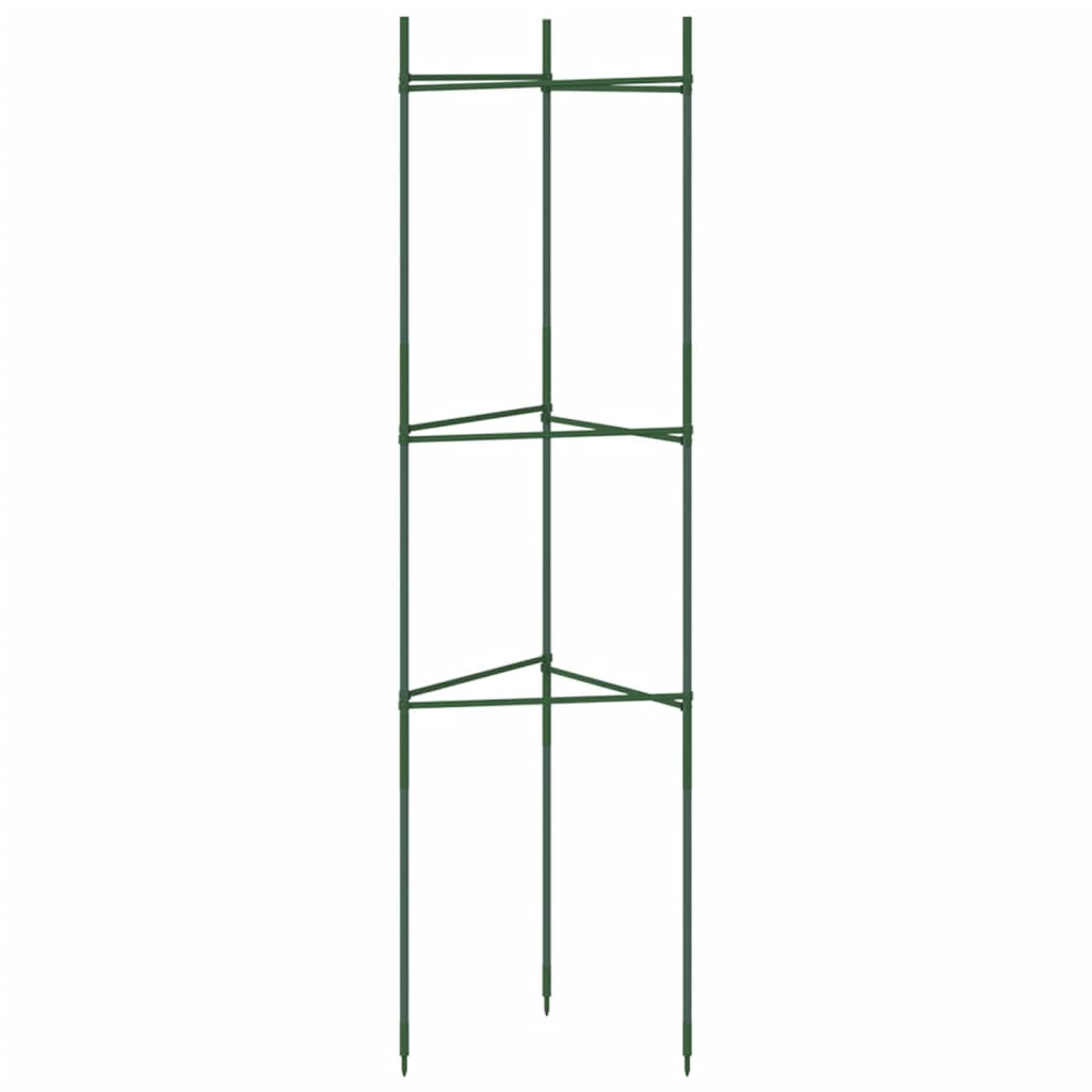 Tomato Cages Steel and PP Without bag 4