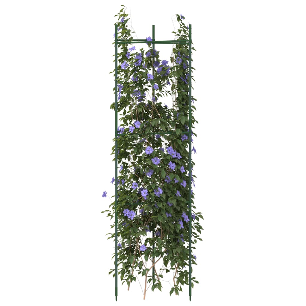 Tomato Cages Steel and PP Without bag 4