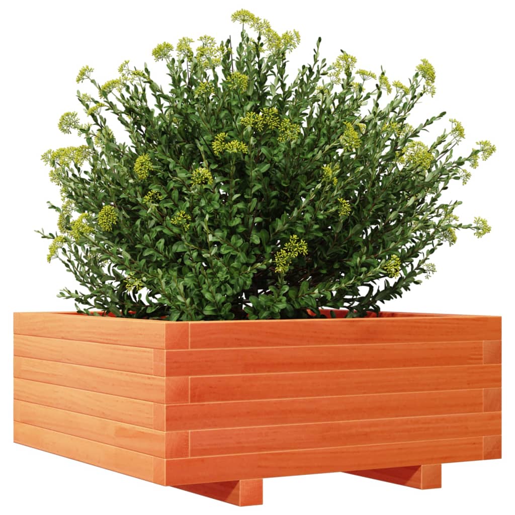 vidaXL Garden Planter Wax Brown 60x60x26.5 cm Solid Wood Pine 4