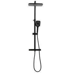 vidaXL Dual Head Shower Set with Mixer and Hose Black Brass 3