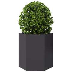 vidaXL Garden Planter Black Hexagon 46x40x45 cm Steel 3