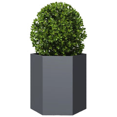 vidaXL Garden Planter Anthracite Hexagon 46x40x45 cm Steel 3