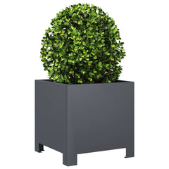 vidaXL Garden Planters 2 pcs Anthracite 30x30x30 cm Steel 4
