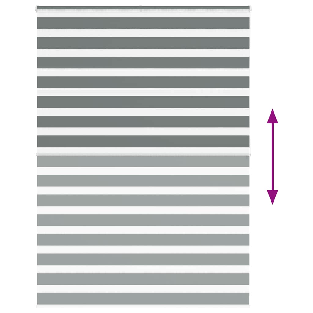 vidaXL Zebra Blind Dark Grey 165x200 cm Fabric Width 160.9 cm Polyester 5