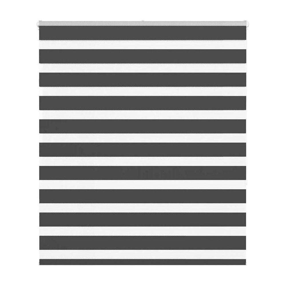 Zebra Blind Black