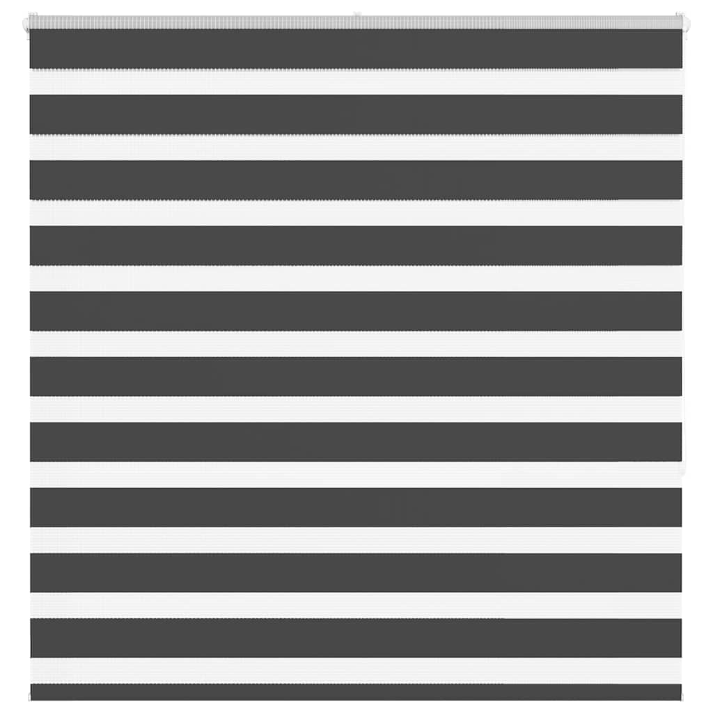 vidaXL Zebra Blind Black 150x150 cm Fabric Width 145.9 cm Polyester 1