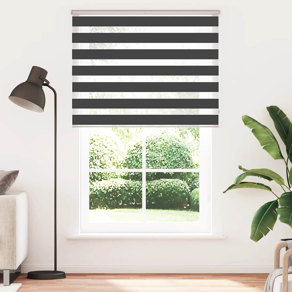 Zebra Blind Black