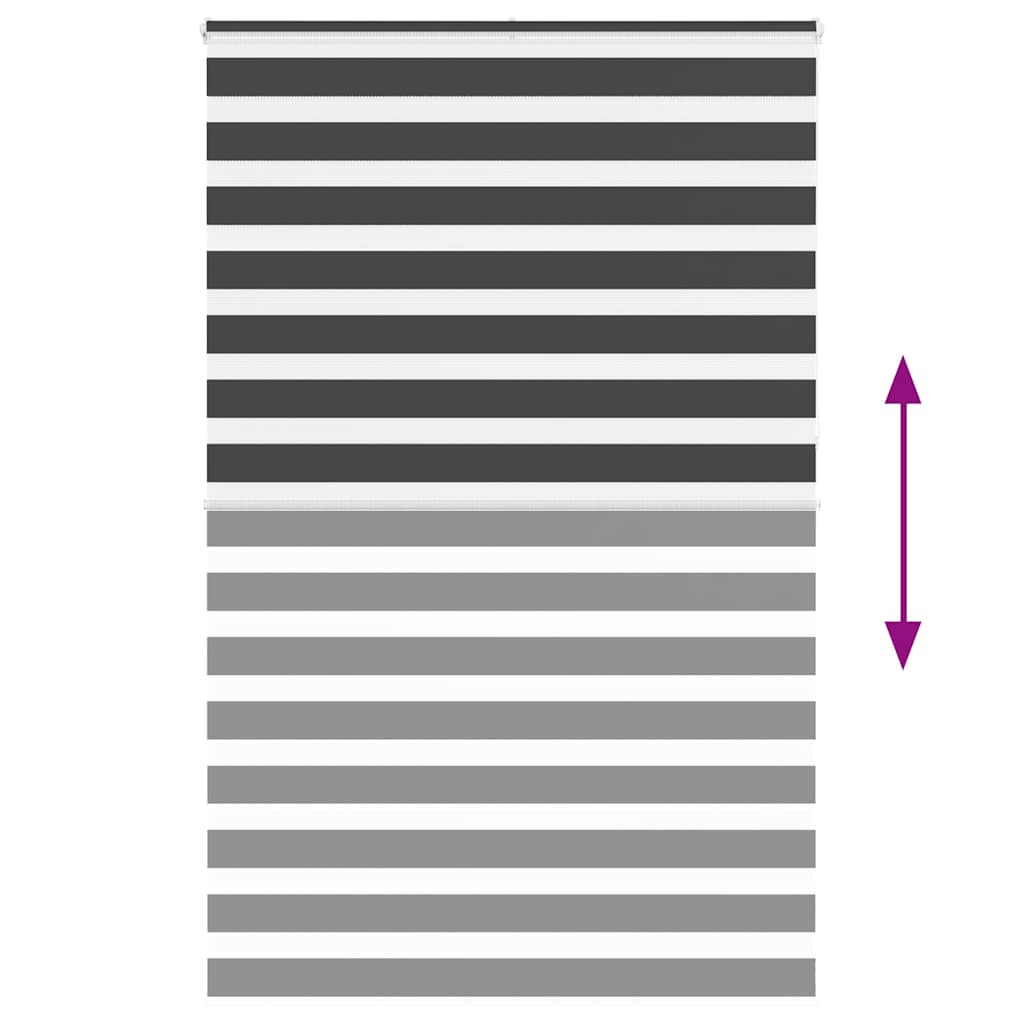 vidaXL Zebra Blind Black 150x230 cm Fabric Width 145.9 cm Polyester 5