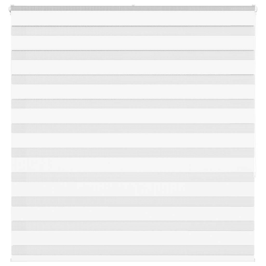 Zebra Blind White