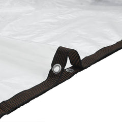 Clear Tarpaulin with Eyelets Polyethylene