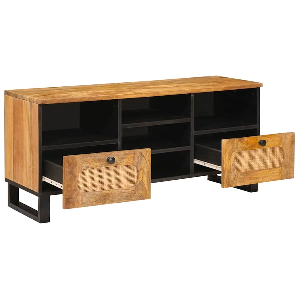 vidaXL TV Cabinet with Drawer Brown 100 x 33 x 46 cm Solid Mango Wood 2