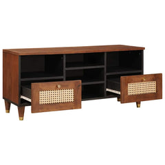 vidaXL TV Cabinet with Shelf Brown 100 x 33.5 x 46 cm Solid Mango Wood 2