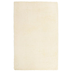 vidaXL Shaggy Rug High Pile NAVARRA Cream 130x200 cm Polyester 2