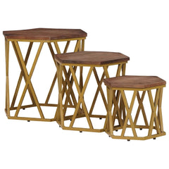 vidaXL Coffee Tables Brown 55 x 55 x 50 cm Solid Mango Wood 2