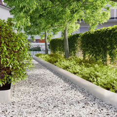 Lawn Edgings Cold-rolled Steel 10 pcs 20 x 103 cm Stainless steel