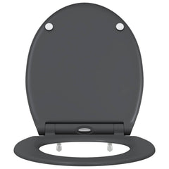 vidaXL Toilet Seat Anthracite 45.5 x 37.5 x 3.8 cm Duroplast 5