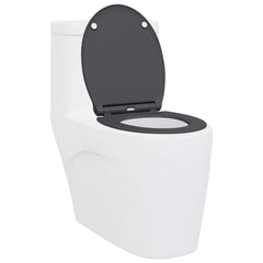 vidaXL Toilet Seat Anthracite 45.5 x 37.5 x 3.8 cm Duroplast 3