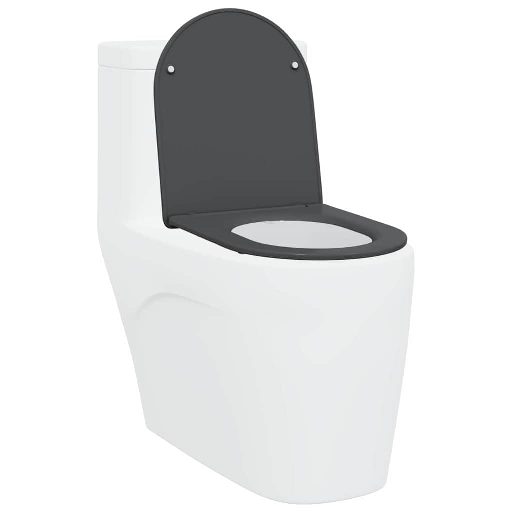 vidaXL Toilet Seat Anthracite 47 x 36 x 3.4 cm Duroplast 3